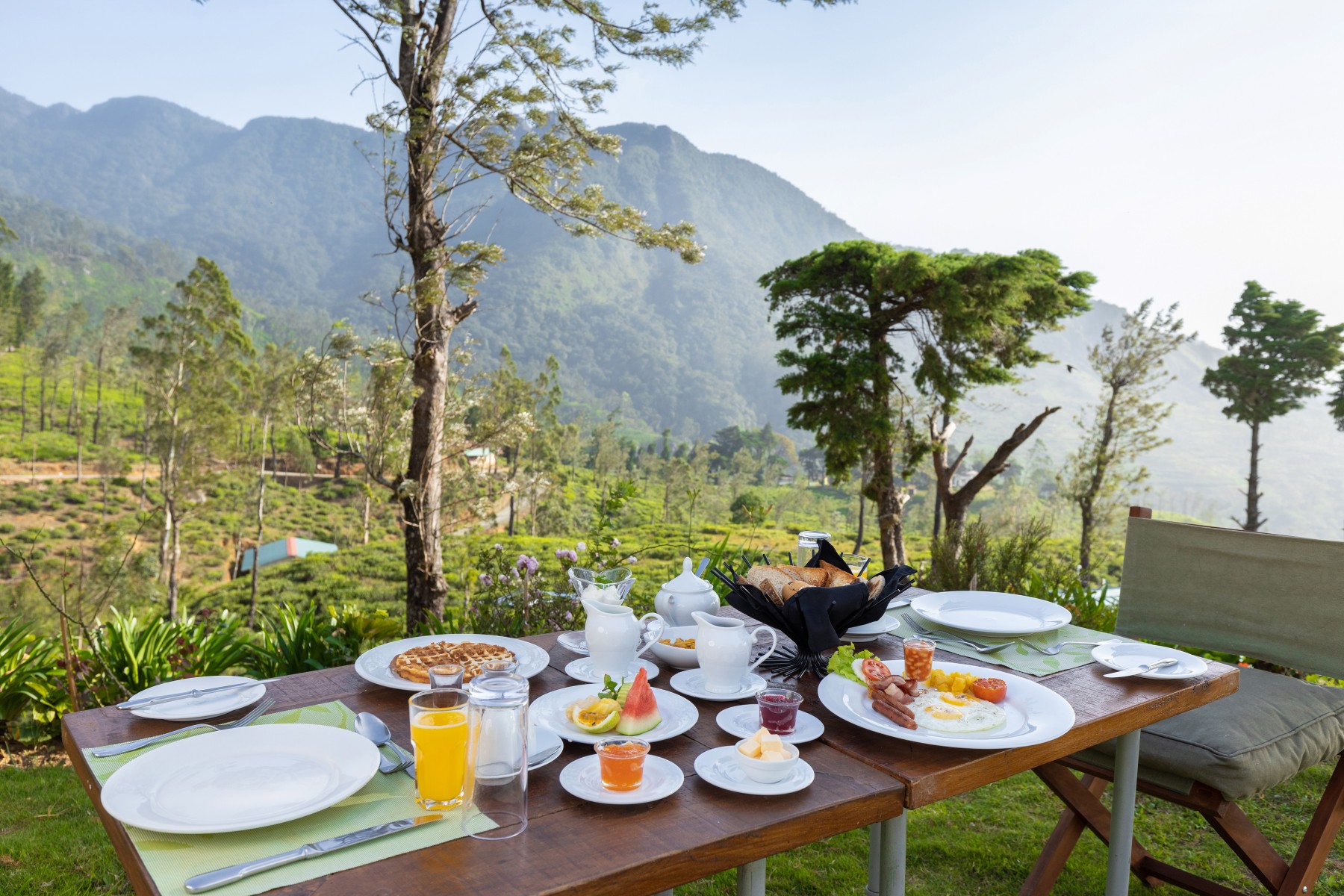 Tea & Experience Factory Hotel